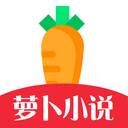 萝卜小说(一颗萝卜小说)