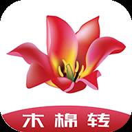 木棉转app(木棉转身小说)