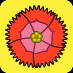 石竹花app(石竹花不进宅的原因)