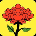 芍药花app(芍药花的种植方法和注意事项)