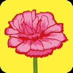 康乃馨app(康乃馨app心脏监测)