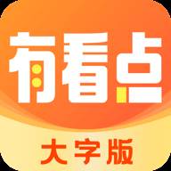 有看点大字版app(看点有用的)