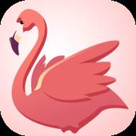 火烈鸟快讯app(火烈鸟网络科技有限公司)