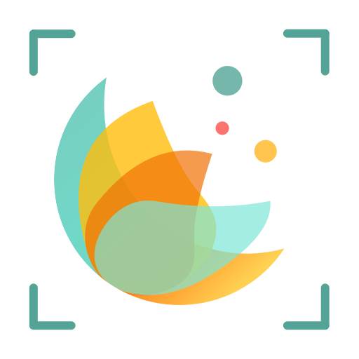 识花君app(识花君拍照识花)