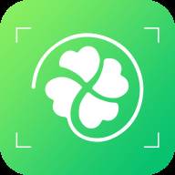 花草识别app(花草识别软件哪个好用)