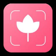 扫码识花app(扫码识花草)