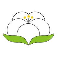 纱纤亿app(纤柔纱毛衣怎么样)