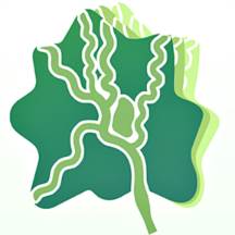 新津通app(新津通地铁没有)