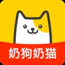 买只宠物app(买只宠物APP是哪家公司的)