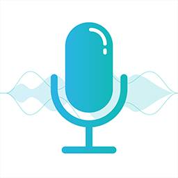 语音转文字pro(语音转文字软件)