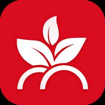 兴兴象农(兴兴象农收购价格不高)