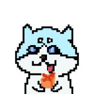 创意猫app(创意猫窝设计方案)