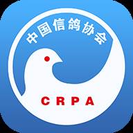 中国信鸽协会app(中国信鸽协会app功能)