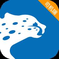 飞豹出行司机端app(飞豹出行司机端怎么样)