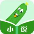 丝瓜小说最新版(丝瓜小说最新版网站)
