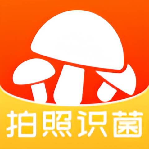 菌窝子(识别蘑菇)(菌窝子二维码)