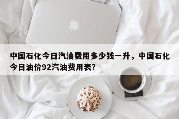 中国石化今日汽油费用多少钱一升，中国石化今日油价92汽油费用表？