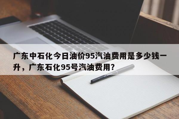 广东中石化今日油价95汽油费用是多少钱一升，广东石化95号汽油费用？