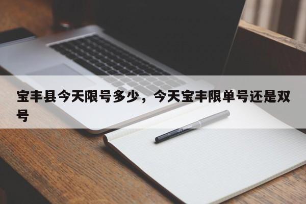 宝丰县今天限号多少，今天宝丰限单号还是双号