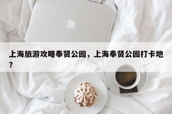 上海旅游攻略奉贤公园，上海奉贤公园打卡地？