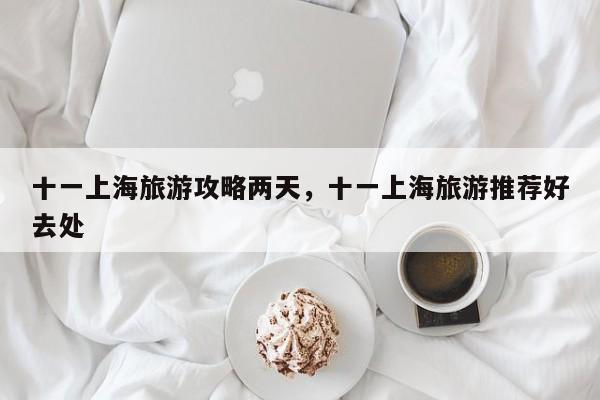 十一上海旅游攻略两天，十一上海旅游推荐好去处