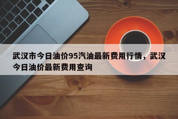武汉市今日油价95汽油最新费用行情，武汉今日油价最新费用查询