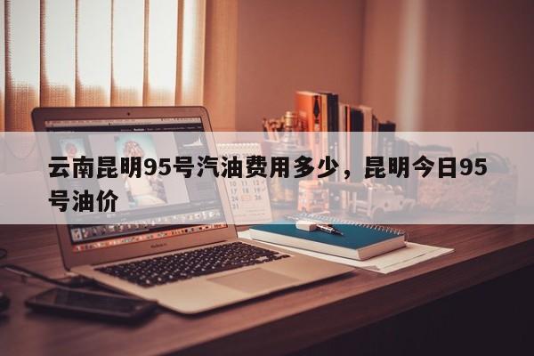 云南昆明95号汽油费用多少，昆明今日95号油价
