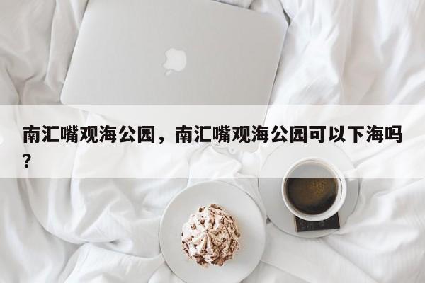 南汇嘴观海公园，南汇嘴观海公园可以下海吗？