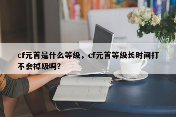 cf元首是什么等级，cf元首等级长时间打不会掉级吗？