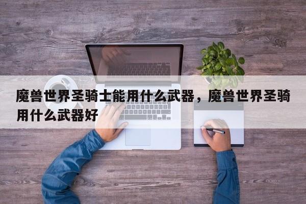 魔兽世界圣骑士能用什么武器，魔兽世界圣骑用什么武器好