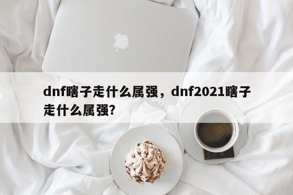 dnf瞎子走什么属强，dnf2021瞎子走什么属强？