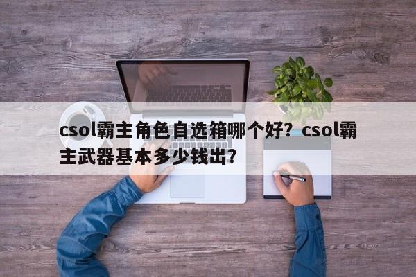 csol霸主角色自选箱哪个好？csol霸主武器基本多少钱出？