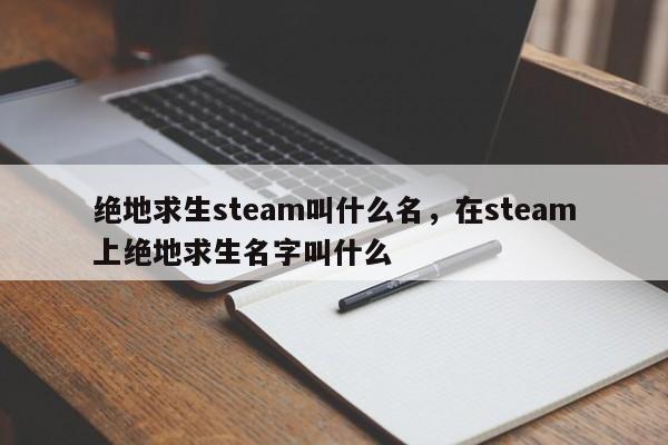 绝地求生steam叫什么名，在steam上绝地求生名字叫什么