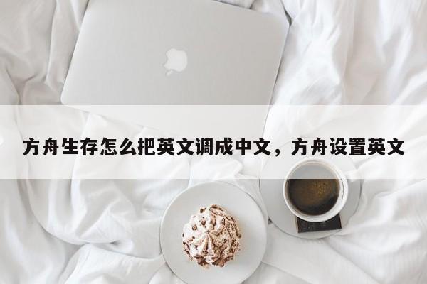 方舟生存怎么把英文调成中文，方舟设置英文