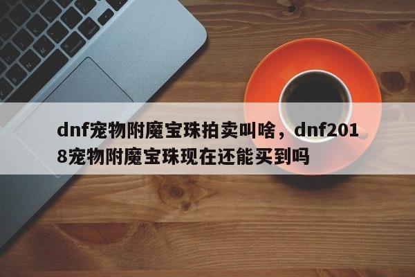 dnf宠物附魔宝珠拍卖叫啥，dnf2018宠物附魔宝珠现在还能买到吗