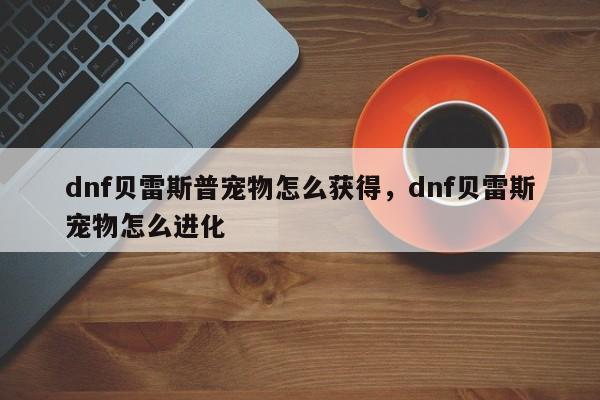 dnf贝雷斯普宠物怎么获得，dnf贝雷斯宠物怎么进化