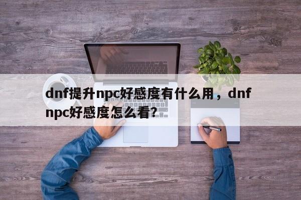 dnf提升npc好感度有什么用，dnf npc好感度怎么看？