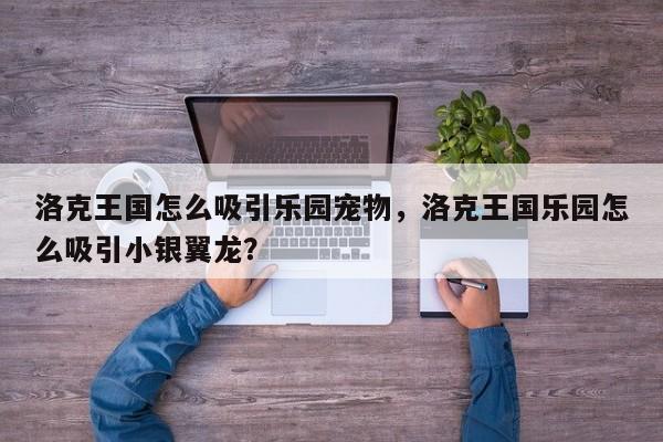洛克王国怎么吸引乐园宠物，洛克王国乐园怎么吸引小银翼龙？