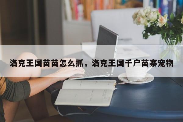 洛克王国苗苗怎么抓，洛克王国千户苗寨宠物