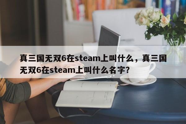 真三国无双6在steam上叫什么，真三国无双6在steam上叫什么名字？