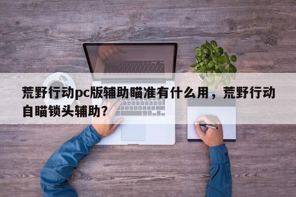 荒野行动pc版辅助瞄准有什么用，荒野行动自瞄锁头辅助？