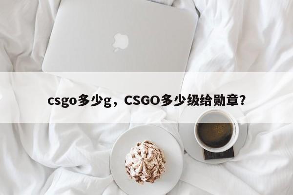 csgo多少g，CSGO多少级给勋章？
