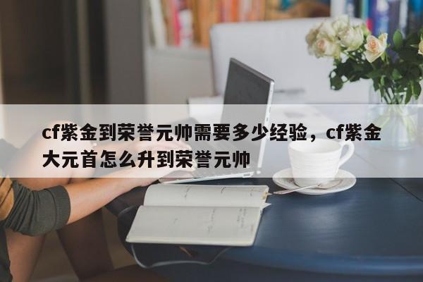 cf紫金到荣誉元帅需要多少经验，cf紫金大元首怎么升到荣誉元帅