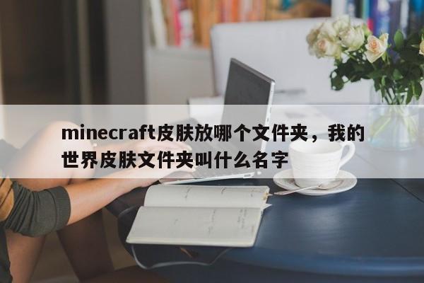 minecraft皮肤放哪个文件夹，我的世界皮肤文件夹叫什么名字