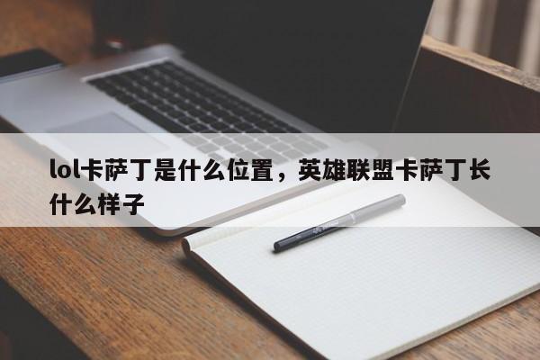 lol卡萨丁是什么位置，英雄联盟卡萨丁长什么样子