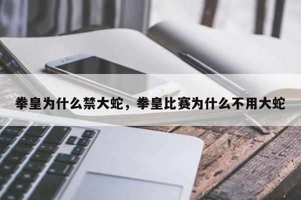 拳皇为什么禁大蛇，拳皇比赛为什么不用大蛇