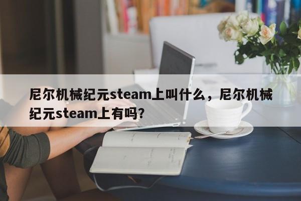 尼尔机械纪元steam上叫什么，尼尔机械纪元steam上有吗？