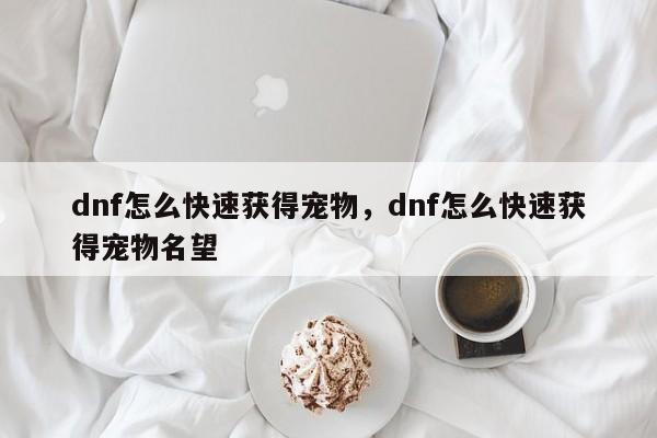 dnf怎么快速获得宠物，dnf怎么快速获得宠物名望