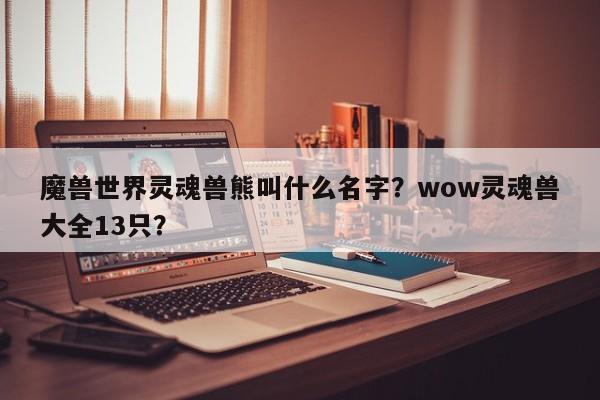 魔兽世界灵魂兽熊叫什么名字？wow灵魂兽大全13只？