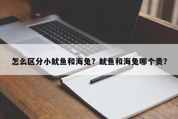 怎么区分小鱿鱼和海兔？鱿鱼和海兔哪个贵？